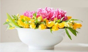 Beautiful Flowers