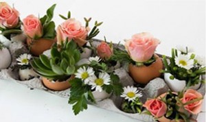 Diy Egg Bonsai