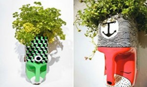 Very Cool Diy Bonsai