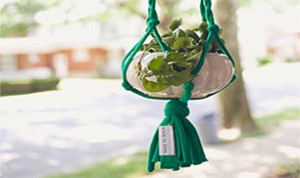 Great Decoration Idea