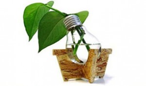 Cool Bulb Craft