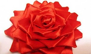 Diy Beautiful Red Flower