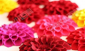 Diy Beautiful Red Flower