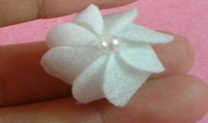 Beautiful White Flower