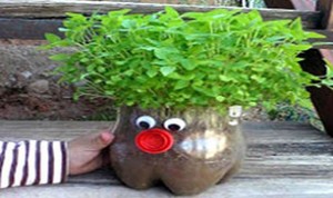 Easy And Cute Bonsai