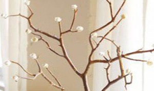 Diy Beautiful Bonsai