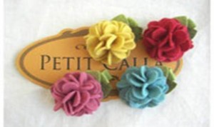 Beautiful Hair Clip