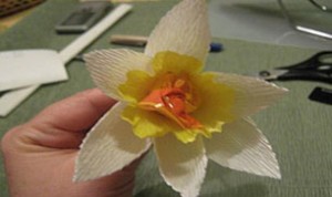 Very Beautiful Flower