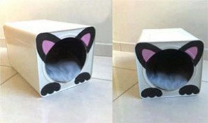 Diy Cute Cat