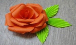 Diy Beautiful Flower