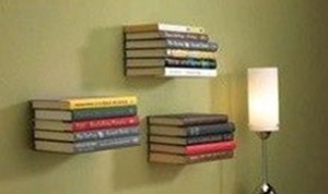 Great Bookshelf Idea