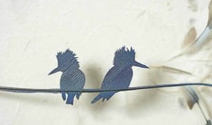 Beautiful Feather Craft