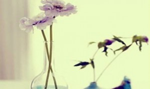 Easy And Beautiful Bottle Craft