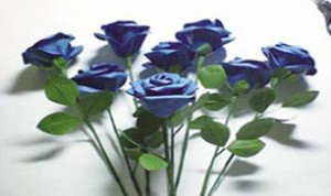 Beautiful Purple Flowers