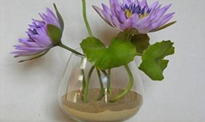 Diy Beautiful Flower