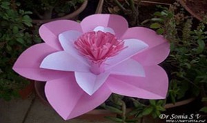 Diy Beautiful Pink Flower