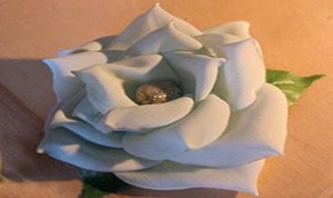 Diy White Rose