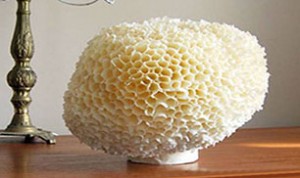 Diy Honeycomb