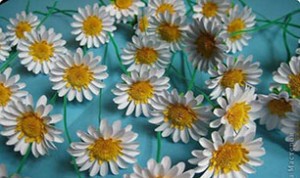 Diy Beautiful Flower