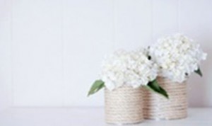 Diy Beautiful Bonsai