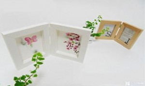 Great Idea For Photos