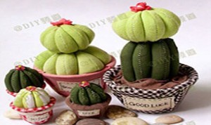 Diy Cute Cacti