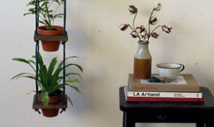 So Cool Bonsai Idea