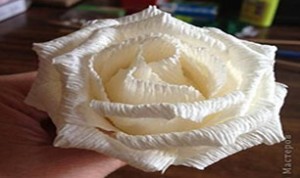 Diy Beautiful White Flower