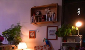 So Beautiful Decor