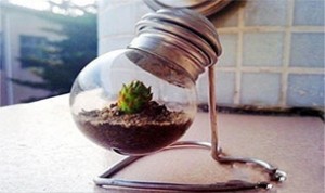 Beautiful Light Bulb Bonsai