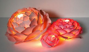 Beautiful Red Flower