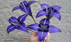 Beautiful Paper Flower