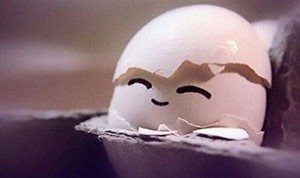 Cute Egg Craft