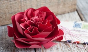 Easy And Beautiful Pink Flower