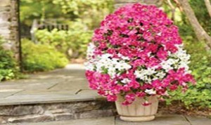 How To Make A Flower Tower